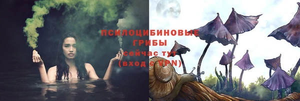 прущие крисы Алексин