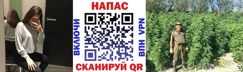 купить наркотики сайты  Харовск  МАРИХУАНА ГИДРОПОН 